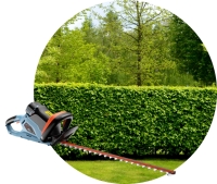 X5 Cordless 58V 22'' Hedge Trimmer, No Battery or Charger Included
